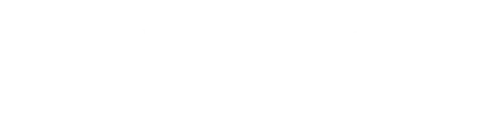 V-SOL